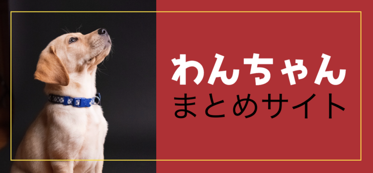 わんわんパラダイス